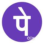 Business development Executive at Phonepe