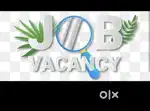 HIRING JOB IN CHENNAI