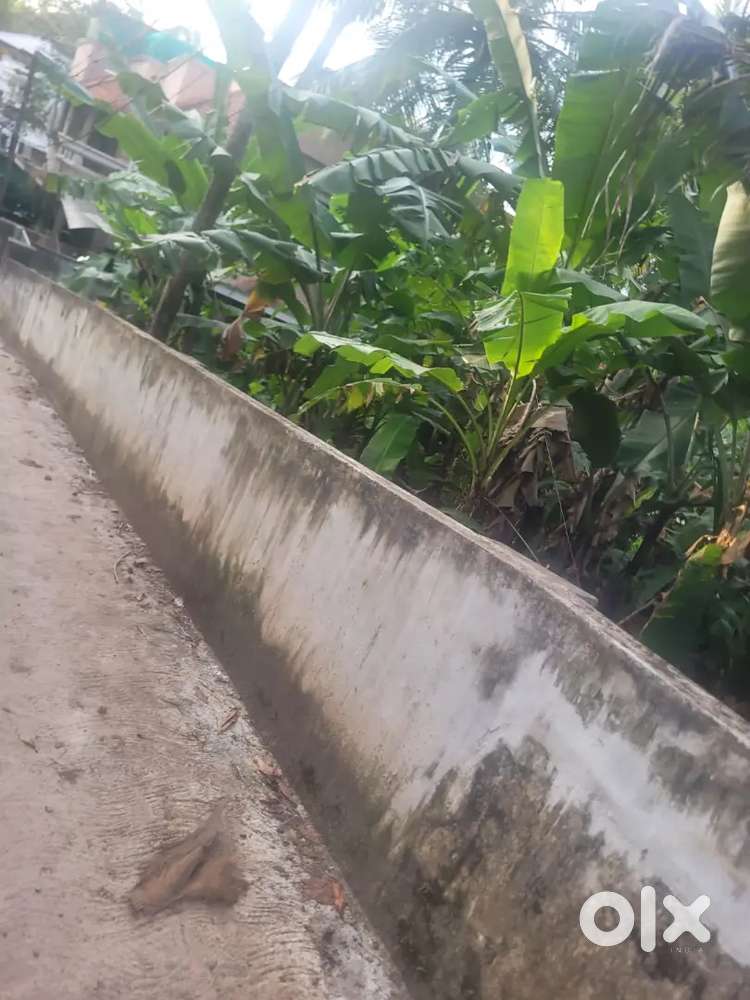 Secure 8 cents of premium land_Ideal for home/Investment