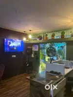 Need a chef,service man and (a receptionist only female)