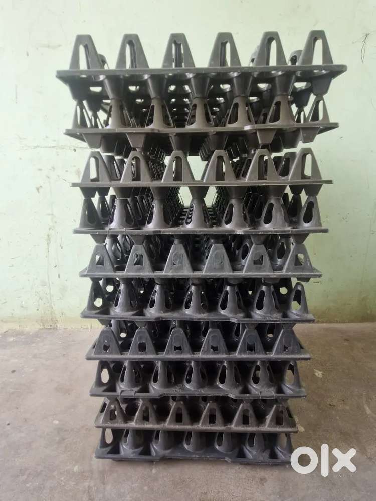 Plastic Egg Tray Set (10 pcs) – Best Deal on OLX