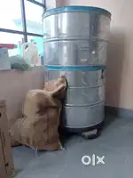 Wheat container , kothi