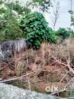 6 cents of land in Velappaya, Thrissur