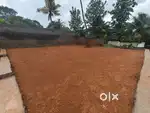 KAKKANAD THEVAKKAL 6 CENT