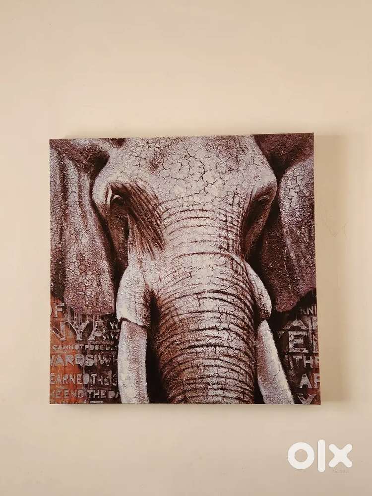 Imported Canvas paintings