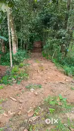 90cent land for sale