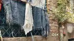 50 Gaj ka plot hai ya 15 foot Ki Gali Hai