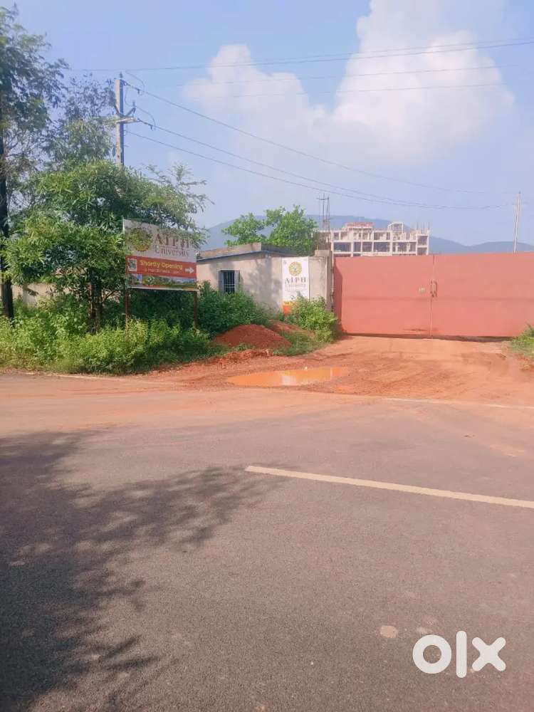 Front to AIPH university 100 meter cohen school 2km iit bbsr niser