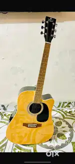 Brand New guitar