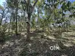 3 ACRE RUBBER PLANTATION