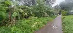 Residential Land