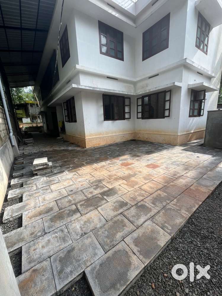 Apartments for rent (family or Hostels)