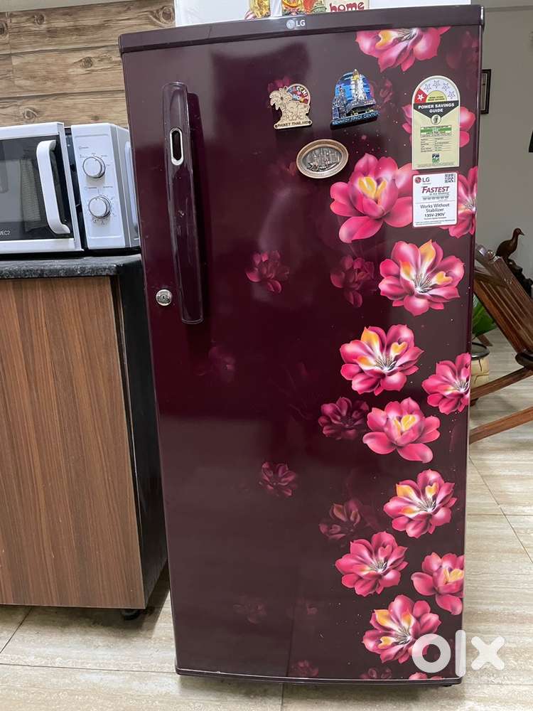 LG 165 litre single door fridge