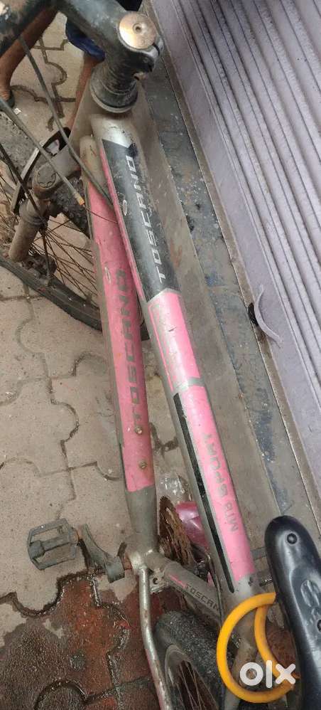 Nice cycle