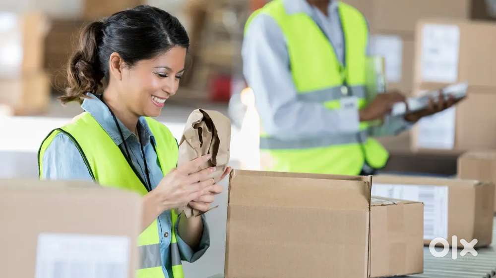 Urgent hiring freshers and experience candidates