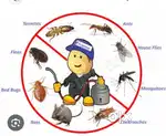 Sm Pest control