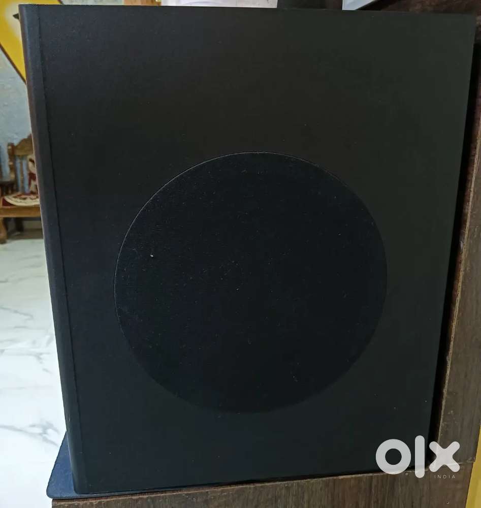 Zebronic sound systems