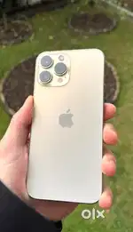 Iphone 13 pro max golden