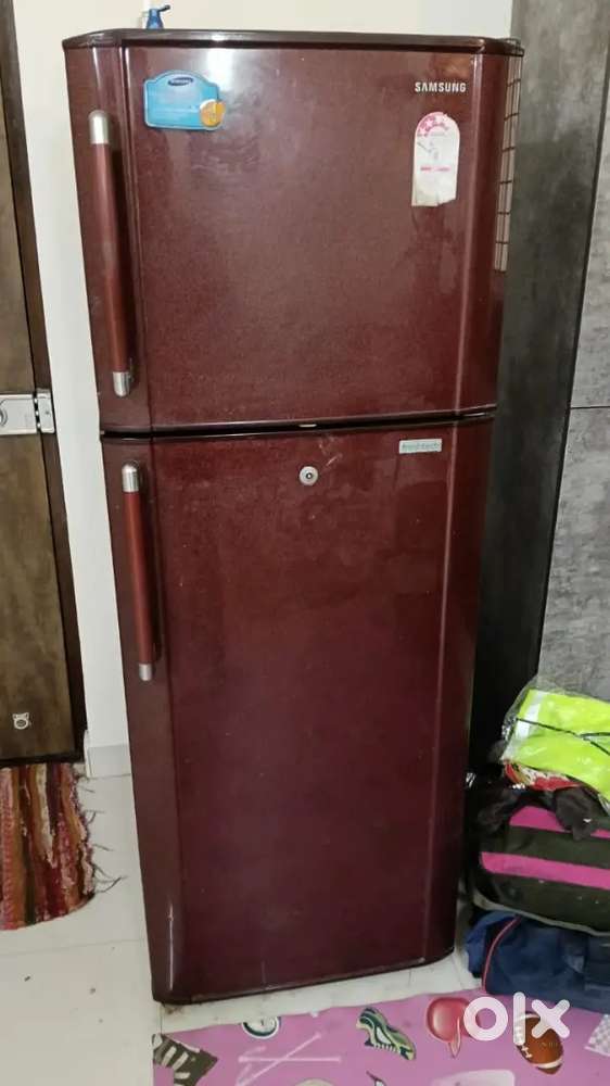 Samsung 290 Litres Double Door Fridge