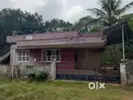 3 BHK Independent house for sale