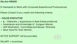 Real Estate sales Executive