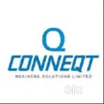 Sales Executive