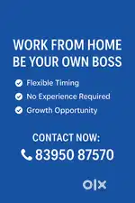 Work from Home  Be your own Boss  Entrepreneur opportunity