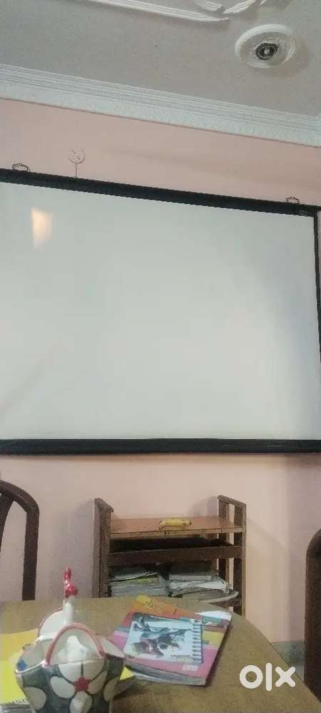 Projector and screen
