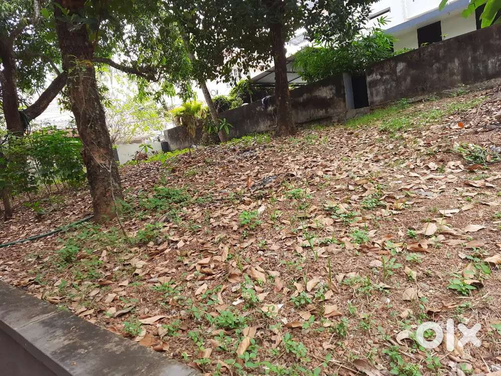 4.6 cents of land for sale