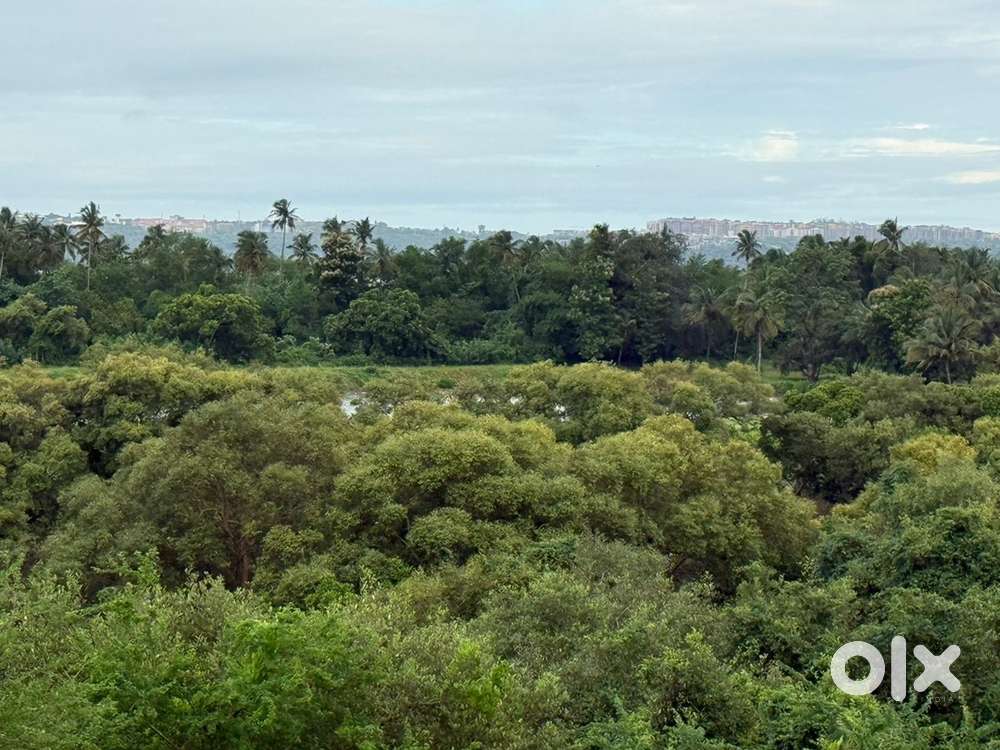 Plot in kadamba plato