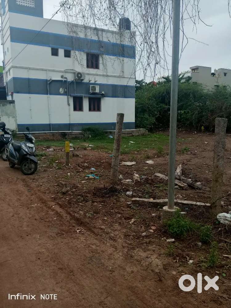 Madurai Paravai, pepsi back, 12.5 cent