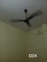 Room for rent only students
