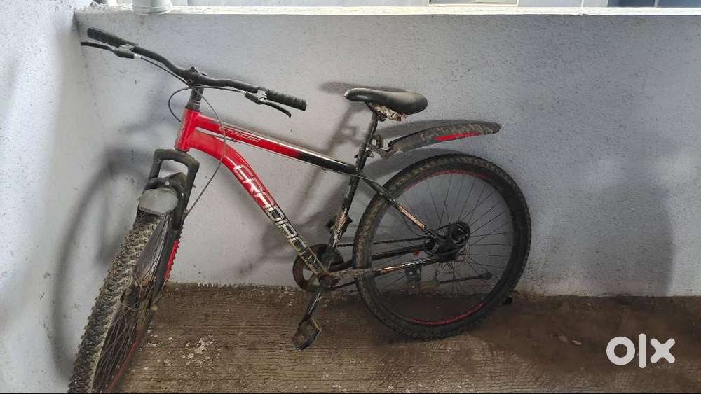 Cradiac Stinger without gears only 8 months old