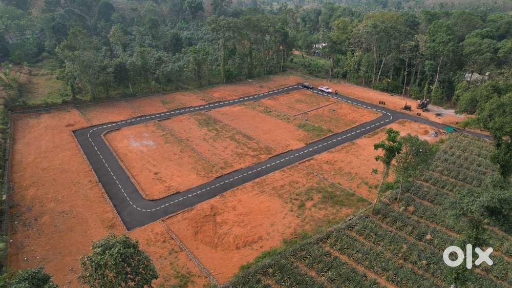 5 cent 10 cent plots available direct owner 3.5 laks Thiruvaniyoor