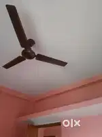 I am looking for 2BHK flat for myself