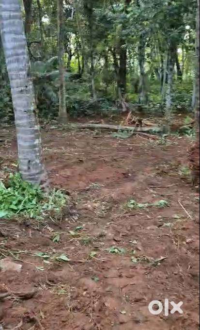 Residential Plot for sale in Palazhi