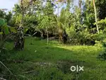 Residential Plot for sale