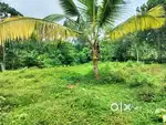 Karukachal.nedukuntham.24.cent.houseplot.centinu.150000