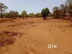 Agriculture Land Sale in off Mumbai Goa Road