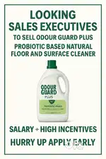 Sales Executive