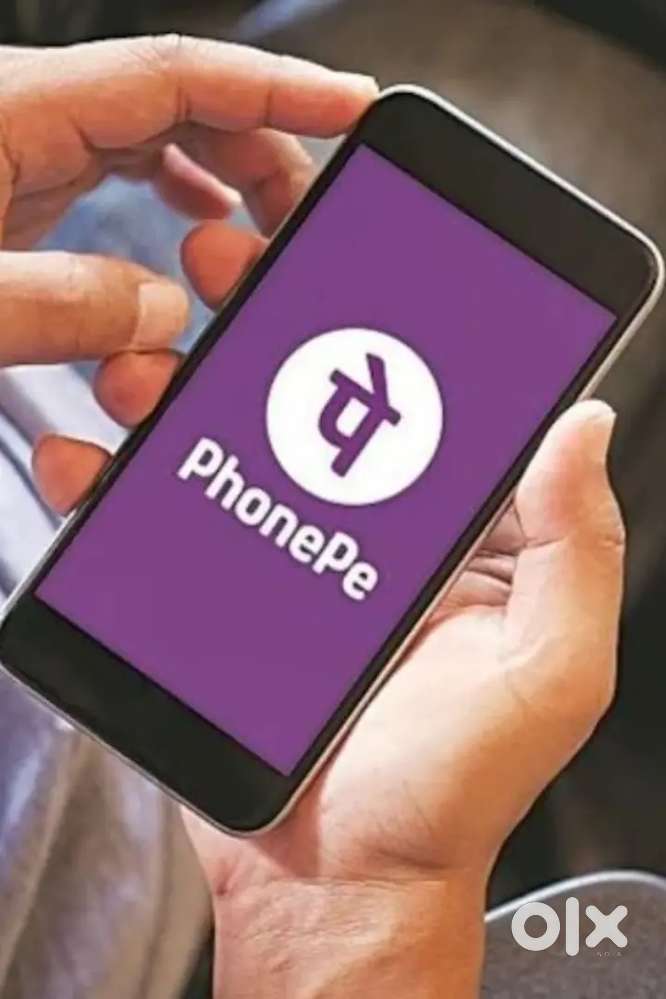 Buisness Development Executive for PHONEPE