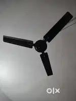 Ceiling Fan