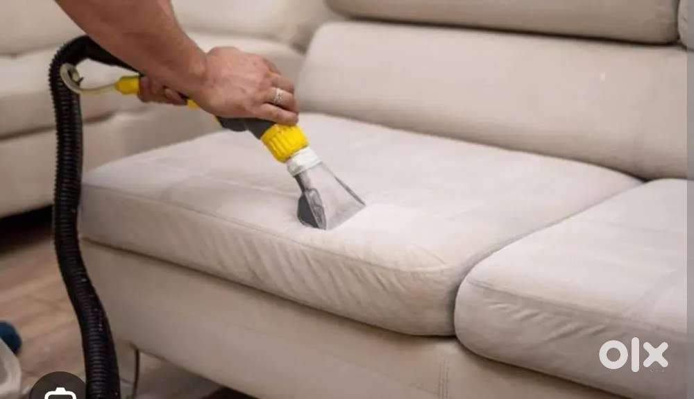 Sofa, Carpet, matters, and dining chairs cleaing