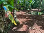 Plot for sale