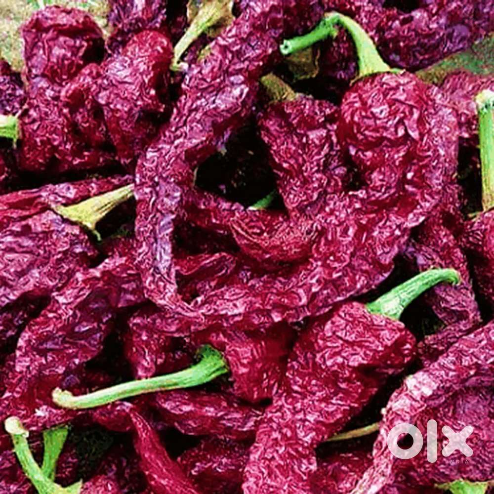 Kashmiri chilli