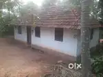 വീട് വാടകയ്ക്ക് കൊടുക്കുന്നു മാനന്തവാടിയിൽ നിന്നും 5 KM അകലെ തവിഞ്ഞാൽ