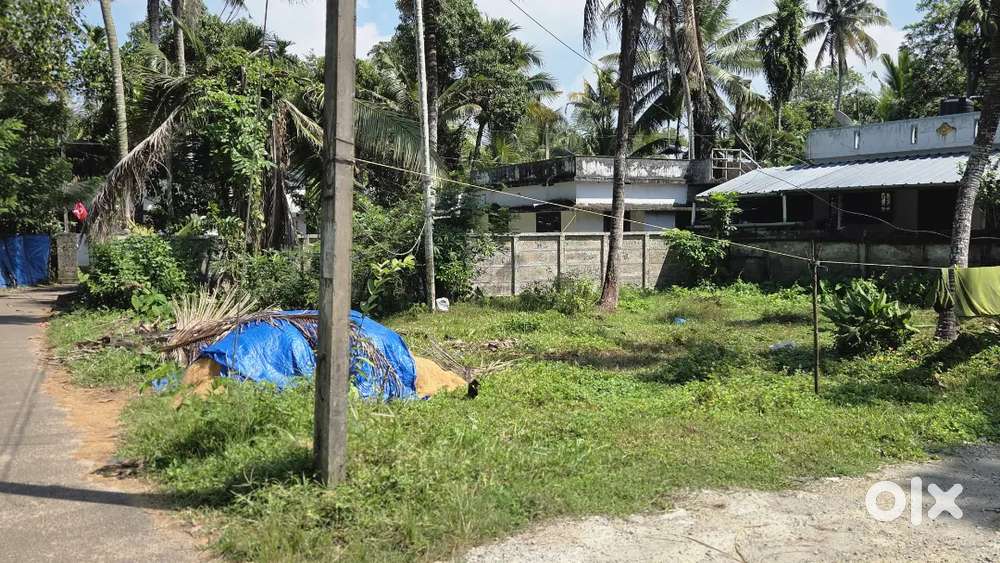 4 cent plot പൊന്നാമ്പിളി കീഴ്ത്തി ബാർ  പടിഞ്ഞാറുവശം 500 മീറ്റർ മാറി