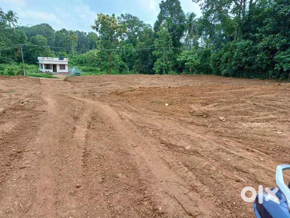 Farm land for sale in Thumpamon