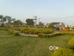 Ch Green colony Amalpura