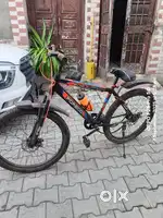 Forego  cycle